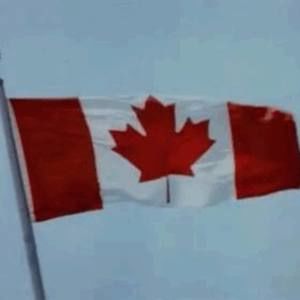 Meet your Posher, Nargis